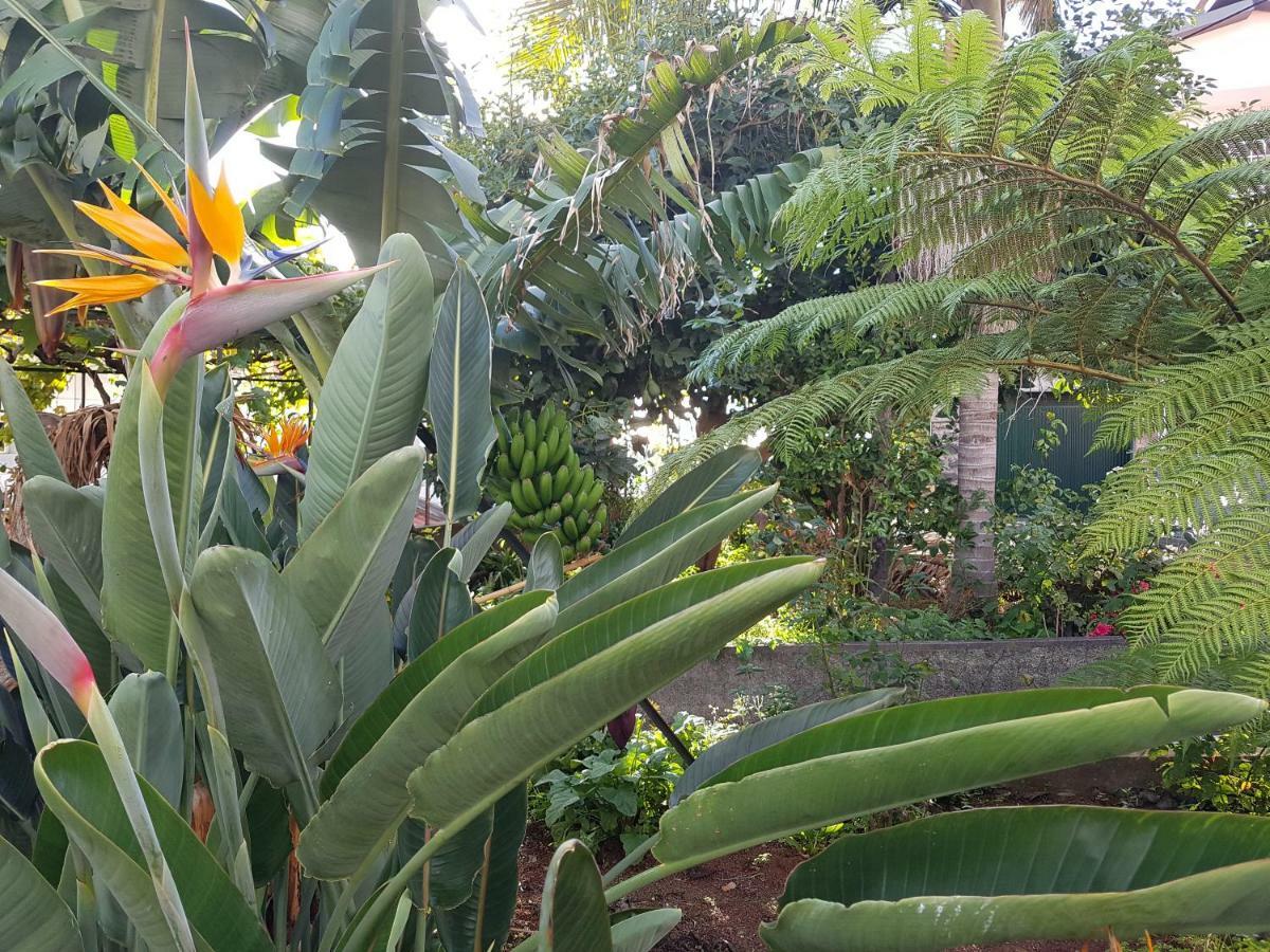 City View Gardens I Funchal  Exterior foto